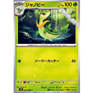 画像: 【C】ジャノビー