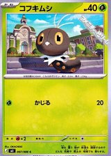 画像: 【C】コフキムシ