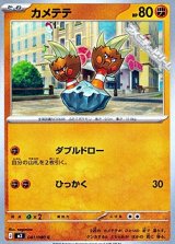 画像: 【C】カメテテ