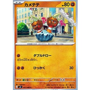 画像: 【C】カメテテ