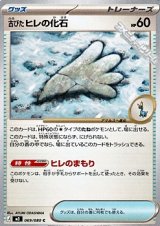 画像: 【C】古びたヒレの化石