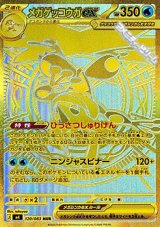 画像: 【MUR】メガゲッコウガex