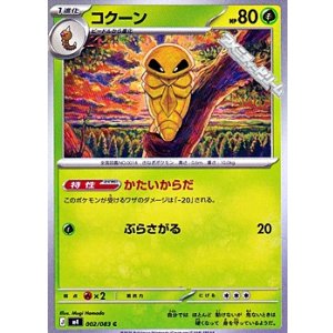 画像: 【C】コクーン