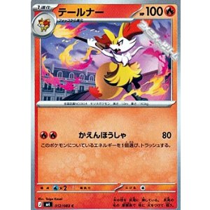 画像: 【C】テールナー