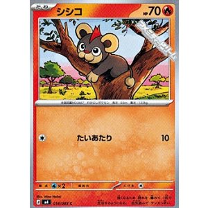 画像: 【C】シシコ