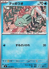 画像: 【C】テッポウオ