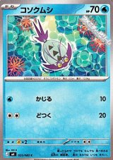 画像: 【C】コソクムシ