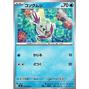 画像: 【C】コソクムシ