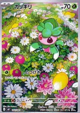 画像: 【AR】カリキリ