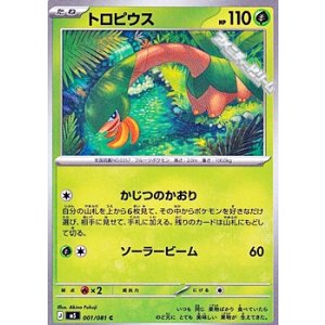 画像: 【C】トロピウス