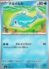 画像: 【C】ナミイルカ
