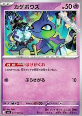 画像: 【C】カゲボウズ