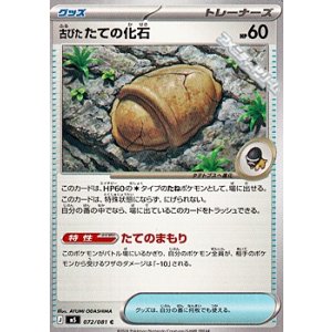 画像: 【C】古びたたての化石