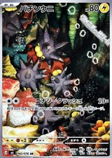 画像: 【AR】バチンウニ