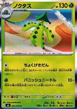 画像: 【R】ノクタス