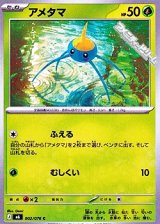 画像: 【C】アメタマ