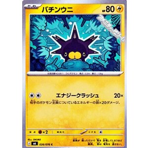 画像: 【C】バチンウニ