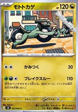 画像: 【C】モトトカゲ