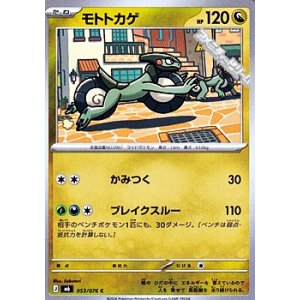 画像: 【C】モトトカゲ