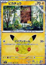 画像: 【キラ】ピカチュウ (17/30)
