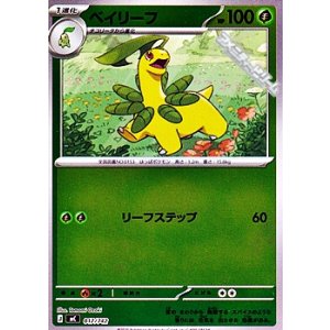 画像: 【ミラー】ベイリーフ