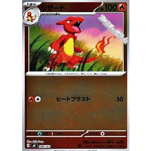 画像: 【ミラー】リザード