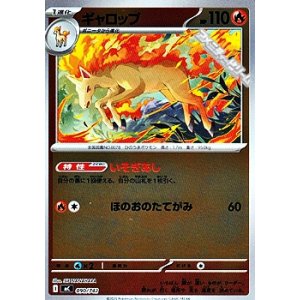 画像: 【ミラー】ギャロップ