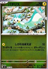 画像: 【ミラー】パチリス