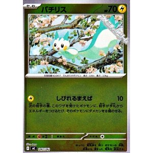 画像: 【ミラー】パチリス