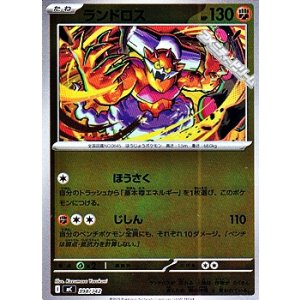 画像: 【ミラー】ランドロス