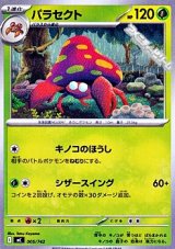 画像: 【ノーマル】パラセクト