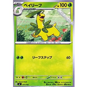 画像: 【ノーマル】ベイリーフ