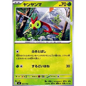画像: 【ノーマル】ヤンヤンマ
