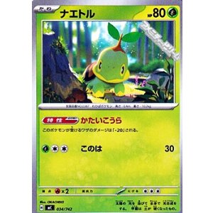 画像: 【ノーマル】ナエトル