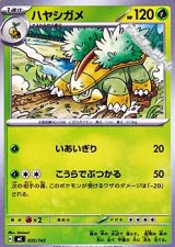 画像: 【ノーマル】ハヤシガメ
