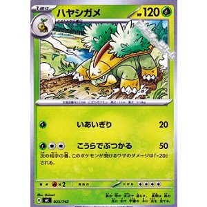 画像: 【ノーマル】ハヤシガメ