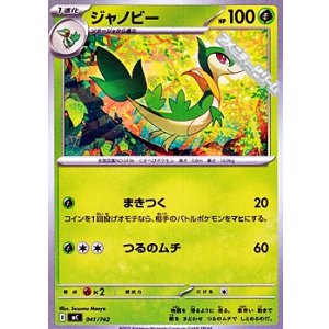 画像: 【ノーマル】ジャノビー