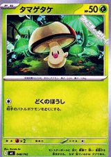画像: 【ノーマル】タマゲタケ