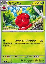 画像: 【ノーマル】カミッチュ