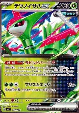 画像: 【ノーマル】テツノイサハex