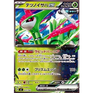 画像: 【ノーマル】テツノイサハex