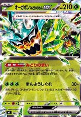 画像: 【ノーマル】オーガポン みどりのめんex