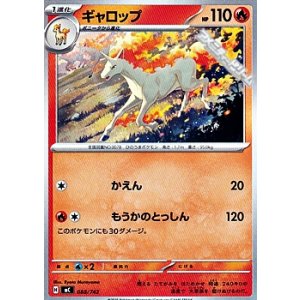 画像: 【ノーマル】ギャロップ (088)