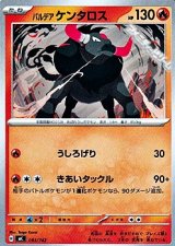 画像: 【ノーマル】パルデア ケンタロス
