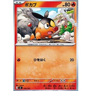 画像: 【ノーマル】ポカブ (109)