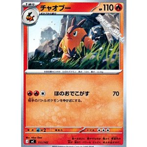 画像: 【ノーマル】チャオブー (111)
