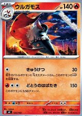 画像: 【ノーマル】ウルガモス (122)