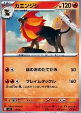 画像: 【ノーマル】カエンジシ
