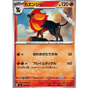 画像: 【ノーマル】カエンジシ