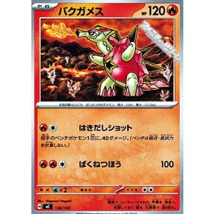 画像: 【ノーマル】バクガメス